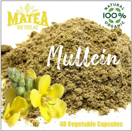 48 Mullein Capsules